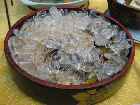 tube ice dish