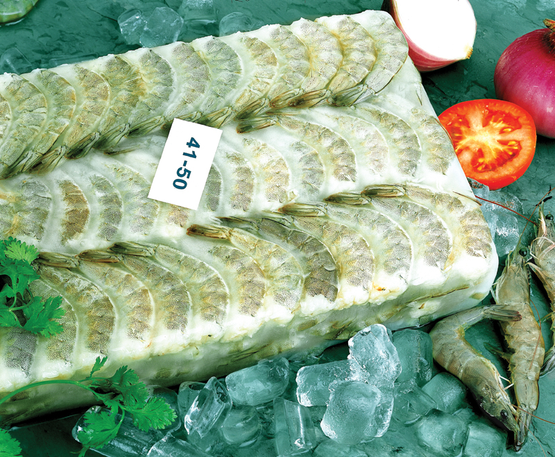 tube ice tube ice for food preservation